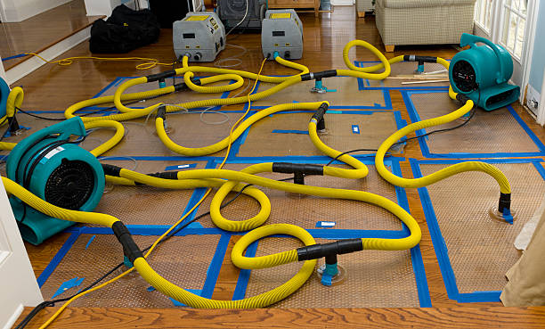 Professional Water Damage Restoration technician working in Nelliston, NY